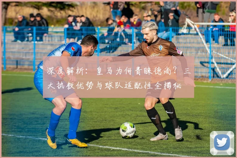 深度解析:皇马为何青睐德尚?三大执教优势与球队适配性全揭秘